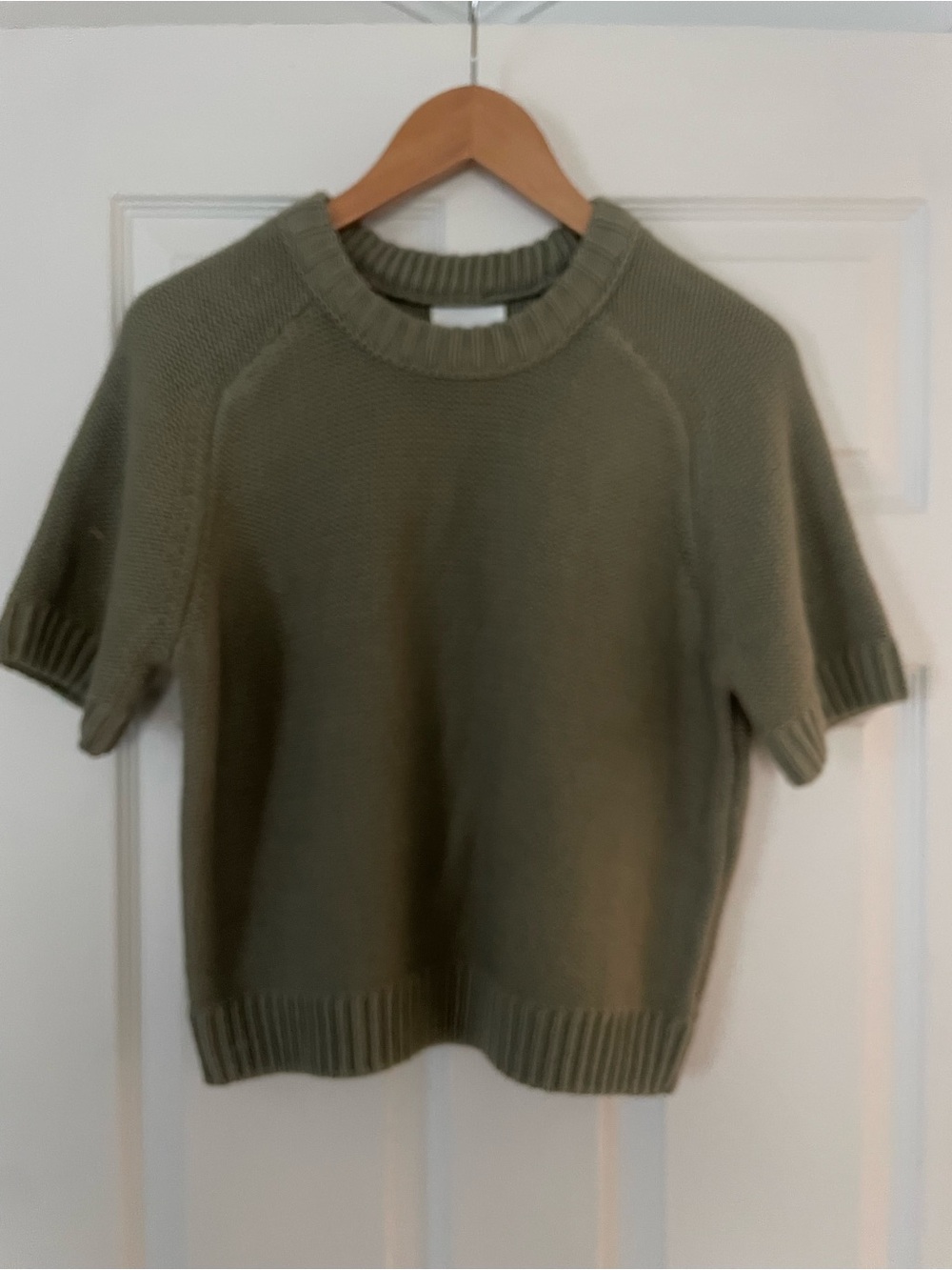 Sage green Willow & Wind short sleeve boyfriend cut sweater